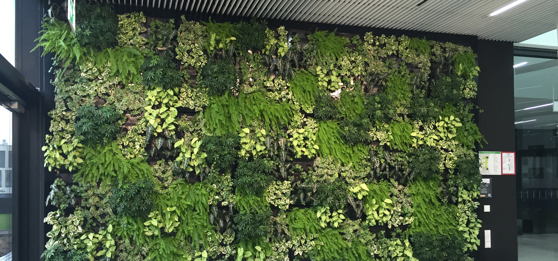 Gartenhof Küsters GmbH IndoorWandbegrünungen