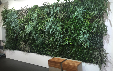 Gartenhof Küsters GmbH - Innenraumbegrünung