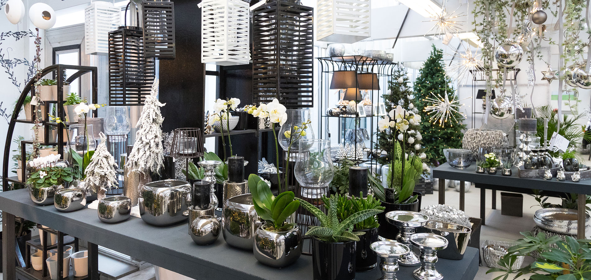 Gartenhof Ksters - floristische Ideen zum Advent