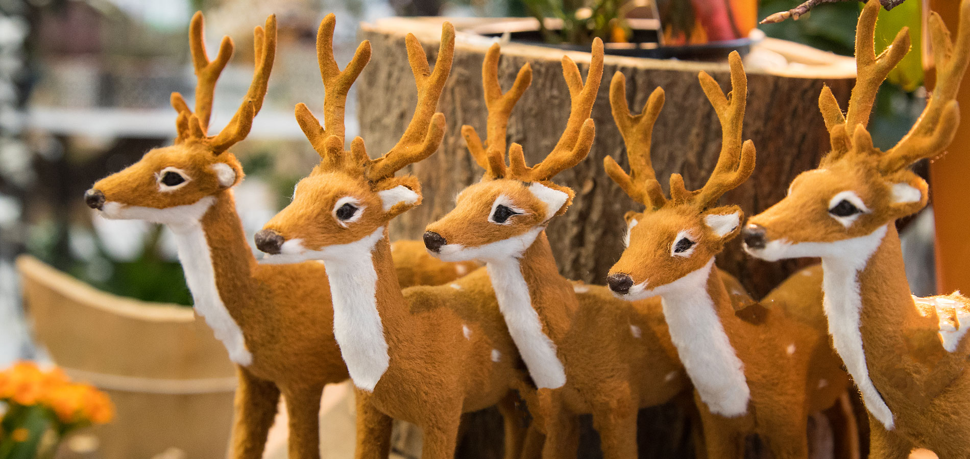 Gartenhof Ksters - floristische Ideen zum Advent
