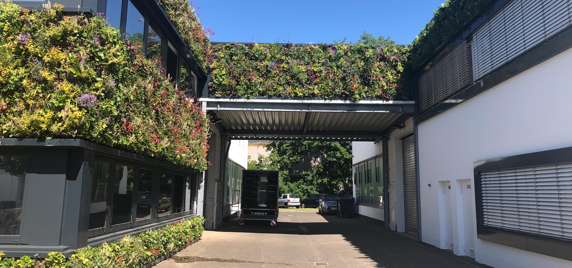 Gartenhof K�sters - Outdoor-Wandbegr�nungen