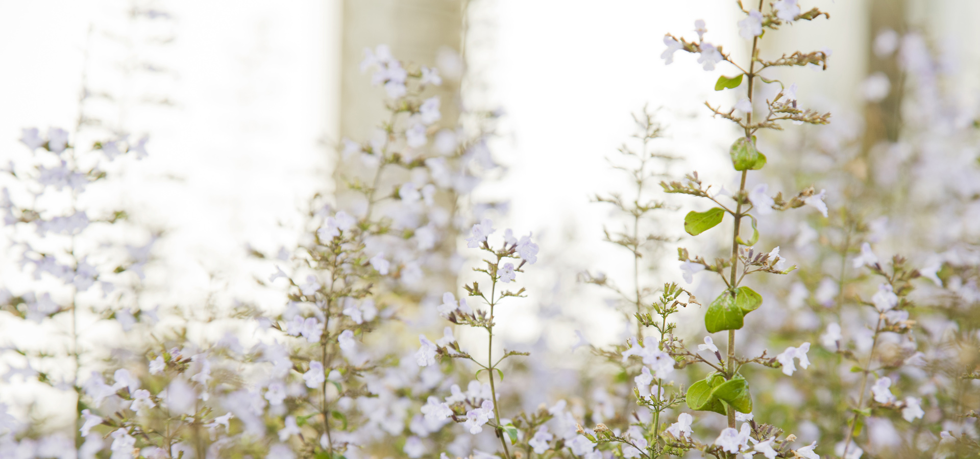 Gartenhof K�sters - St. Augustinus Klinik, Neuss