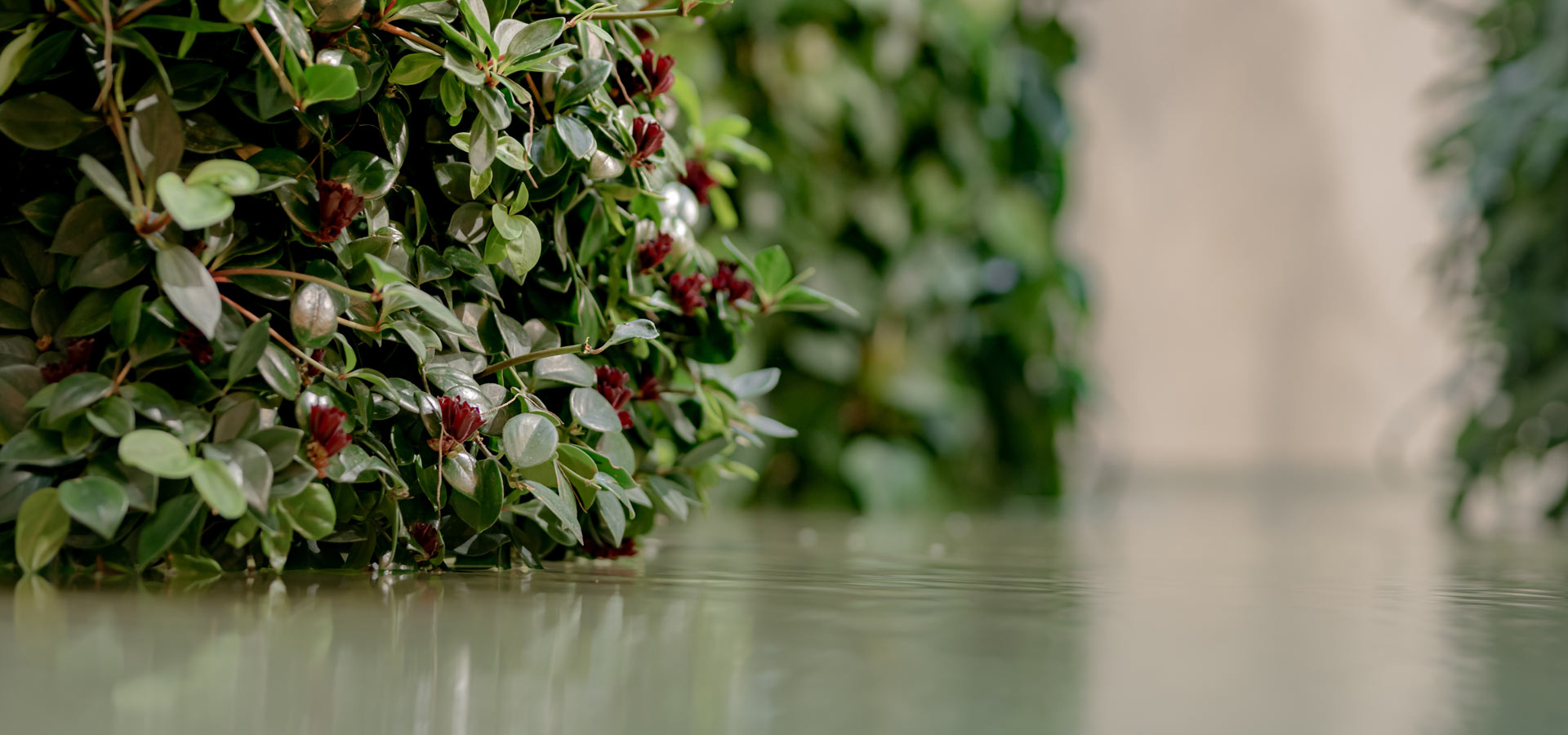 Gartenhof K�sters - Carolus Thermen