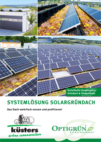 Systeml�sung SolarGr�nDach