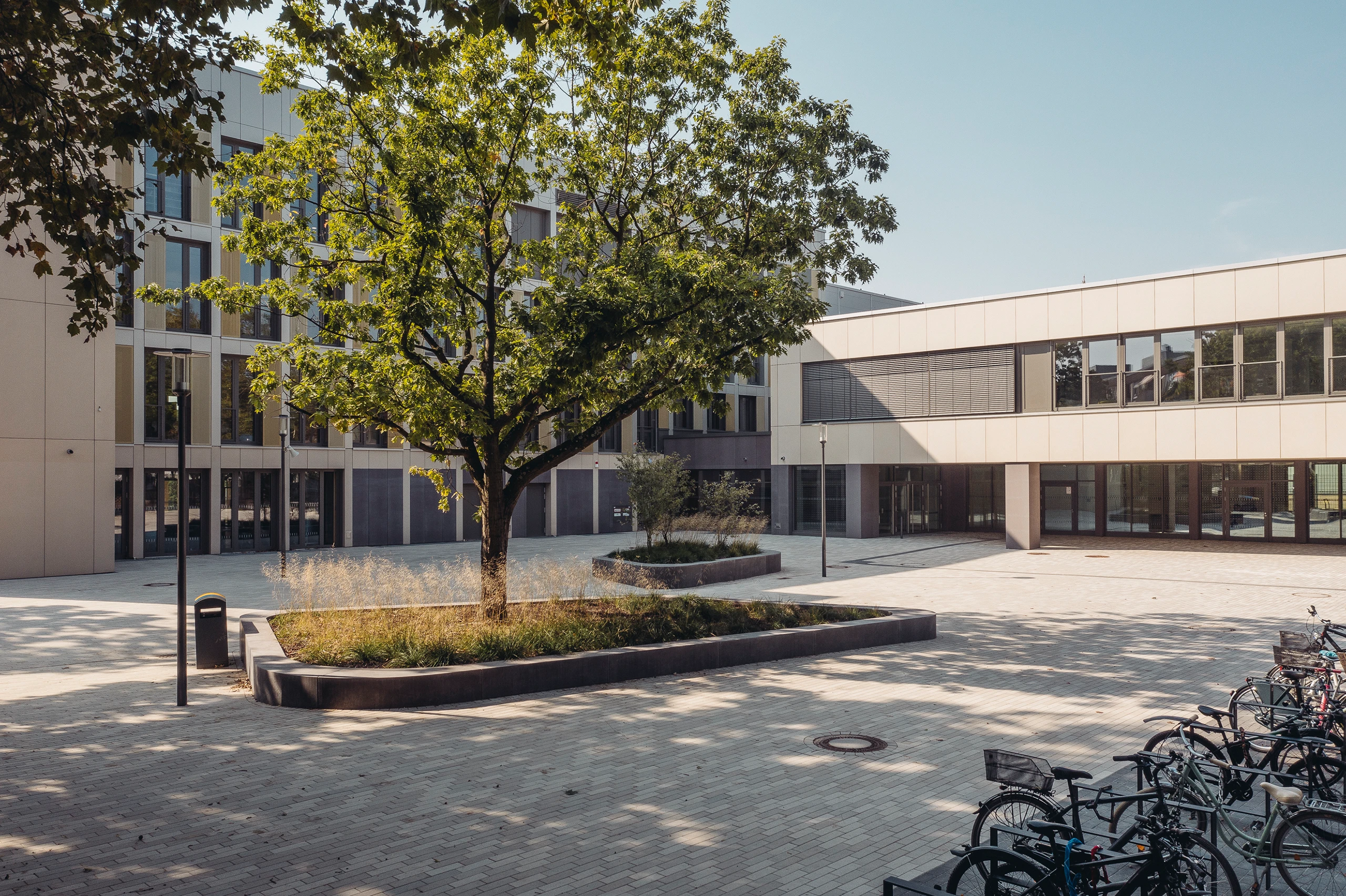 Dreikönigs-Gymnasium